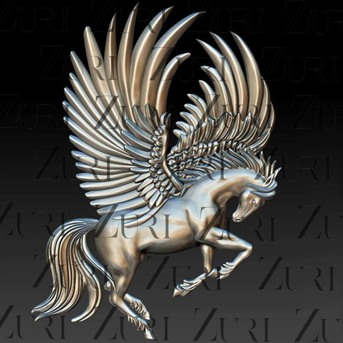 Pegasus Flight
