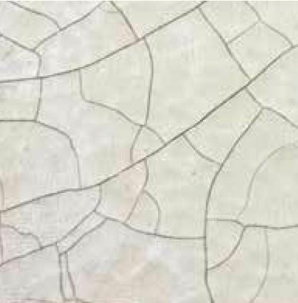 Fineline Crackle Varnish 2 Components Set