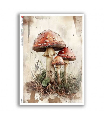 Fly Agaric Mushrooms