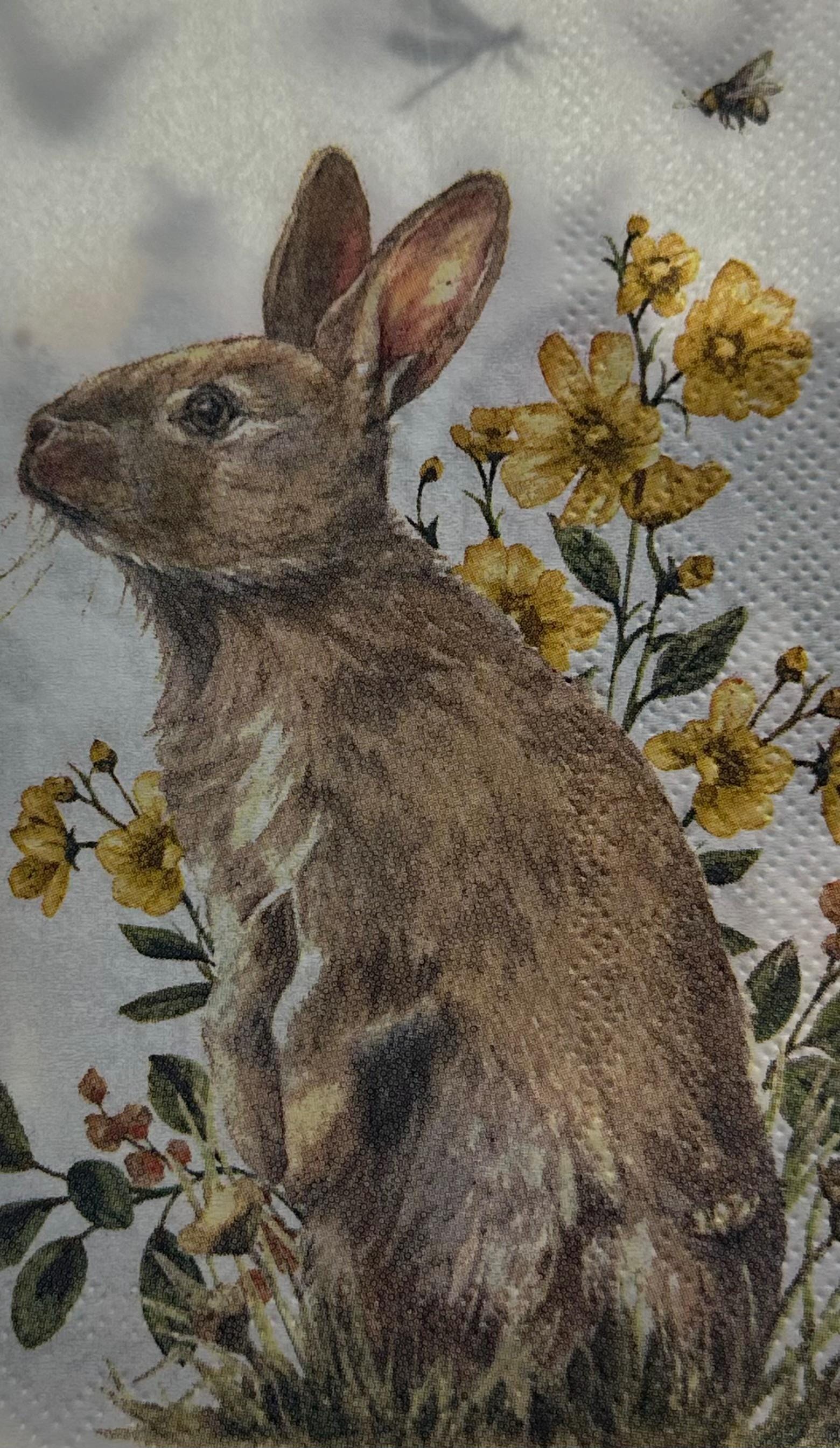 Bunny Decoupage Napkins: Rabbit Designs, Spring Tissue Paper (3-Piece Pack)