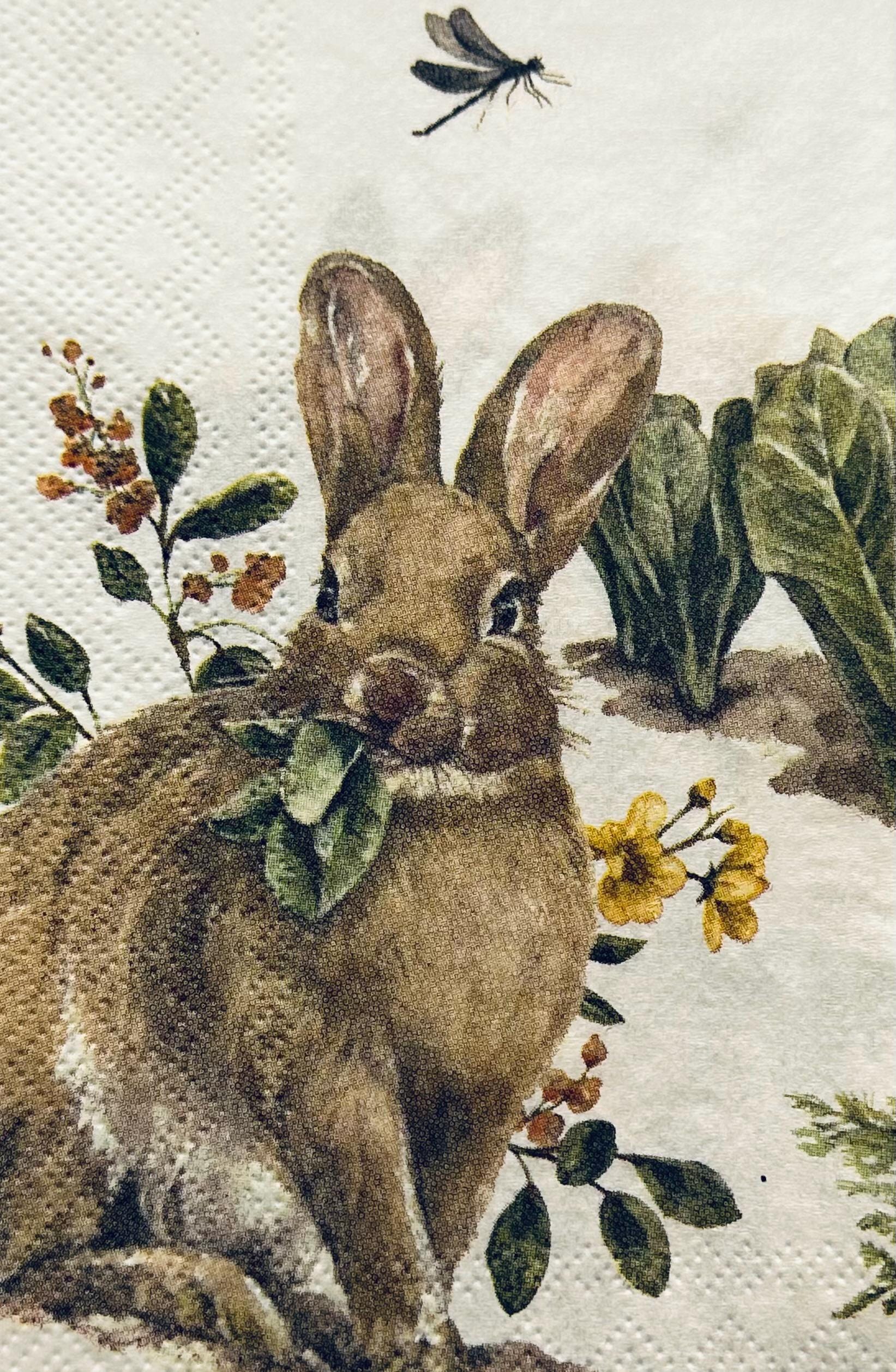 Bunny Decoupage Napkins: Rabbit Designs, Spring Tissue Paper (3-Piece Pack)