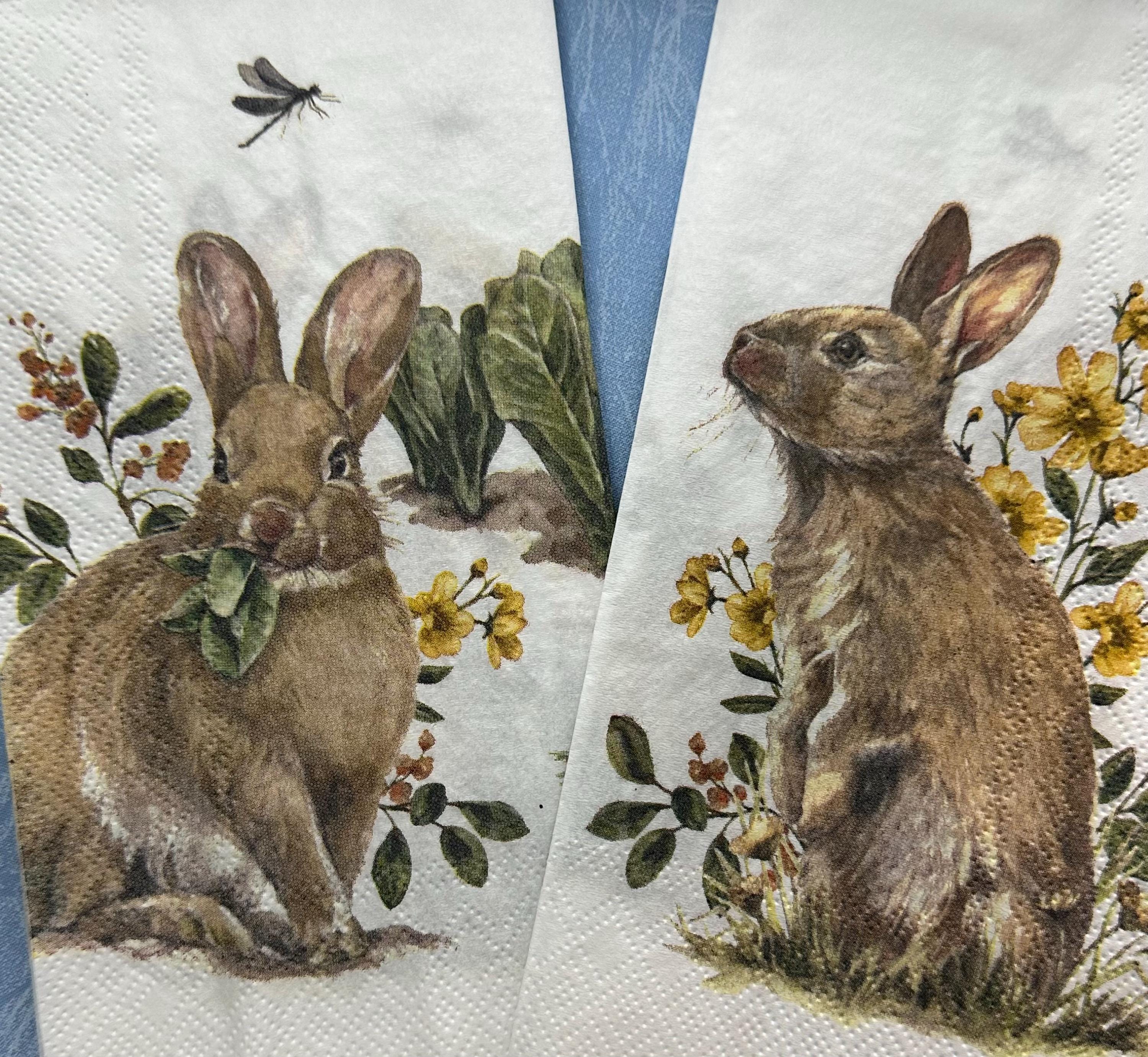 Bunny Decoupage Napkins: Rabbit Designs, Spring Tissue Paper (3-Piece Pack)
