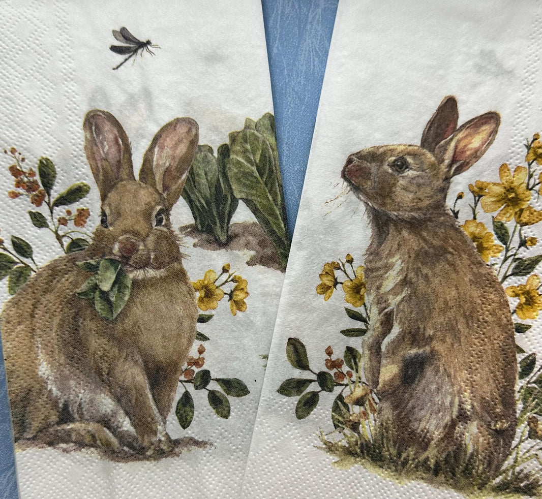 Bunny Decoupage Napkins: Rabbit Designs, Spring Tissue Paper (3-Piece Pack)