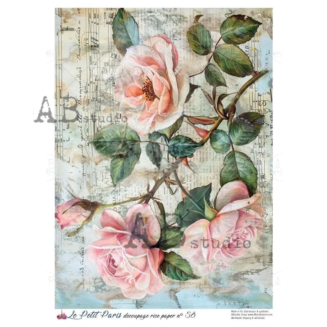 Pink Rose Rice Paper A4 - Vintage Music Sheet Decoupage Paper
