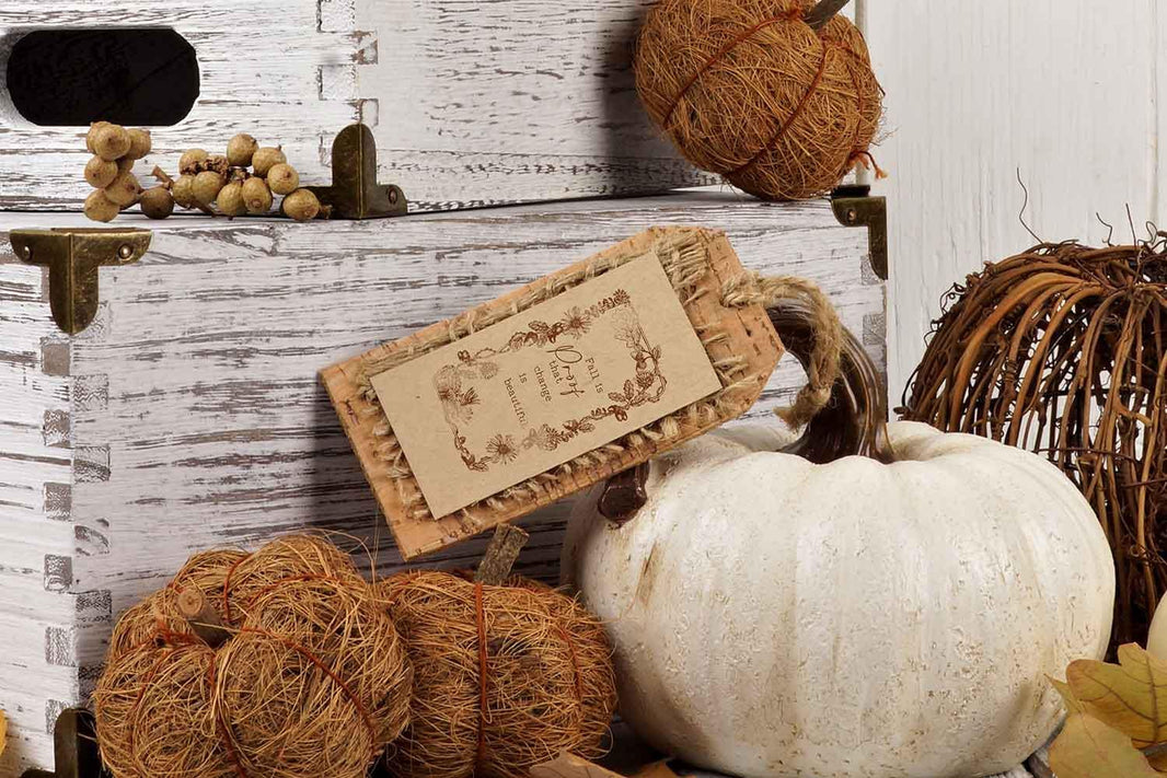 Fall Sweet Fall Stamps - Decor Clear Stamp, Pumpkin Stamps, Fall Card Making Stamps, Scrapbooking, Gift Tags, Rubber Stamp, Gift Tag Making