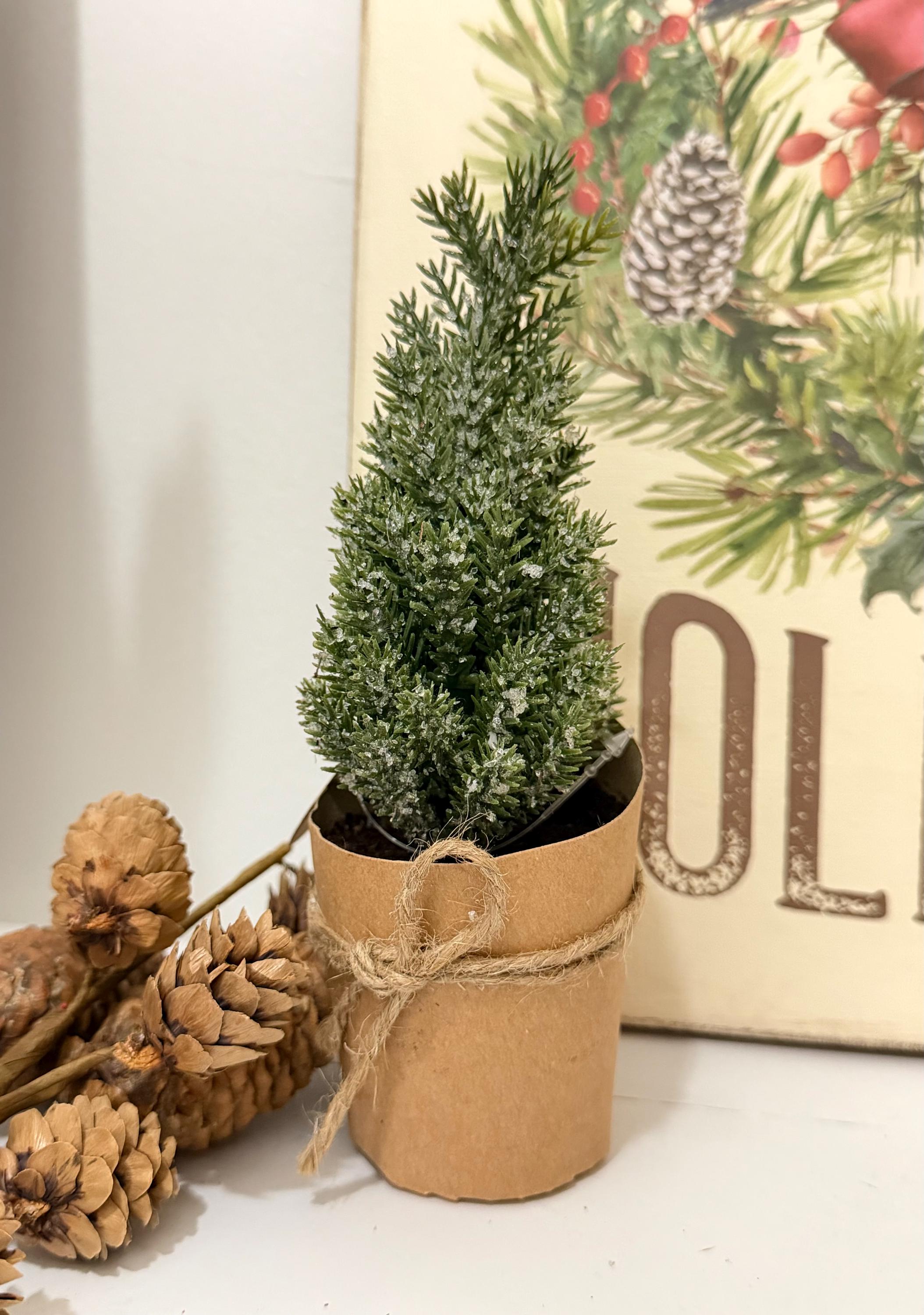 Pine Tree - Mini Pine Tree with Paper Pot, Holiday Table Decor, Mini Prop Trees, Design, Photography Props, Christmas Tree, Winter Trees
