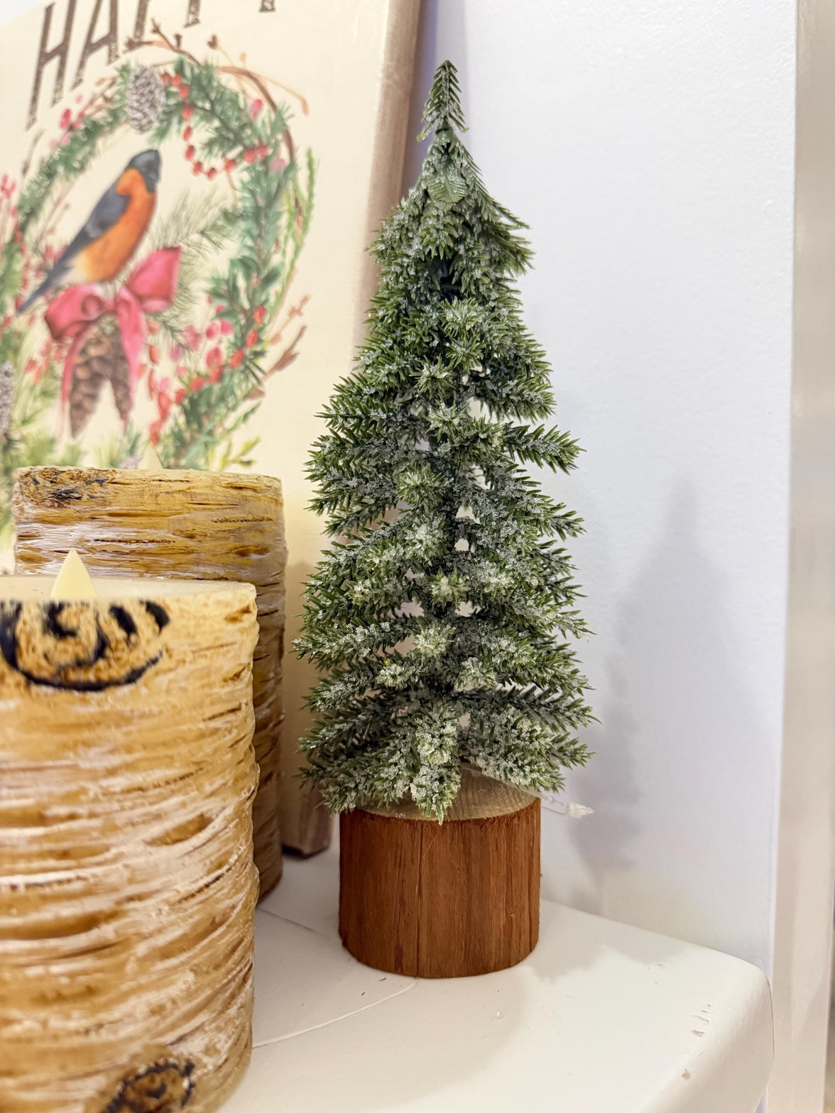 Pine Tree - Mini Forest Icy Pine Tree, Holiday Decor, Mini Prop Trees, Design Decor Styling, Photography Props, Christmas Tree, Winter Trees