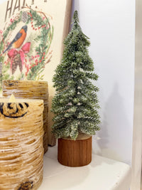 Pine Tree - Mini Forest Icy Pine Tree, Holiday Decor, Mini Prop Trees, Design Decor Styling, Photography Props, Christmas Tree, Winter Trees