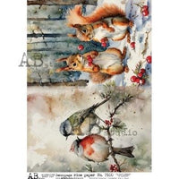 Rice Paper, A4, Winter Squirrels & Birds A4 Rice Paper, Winter Rice Paper, Decoupage Paper, Crafting Rice Paper, Squirrels, Animal Lovers