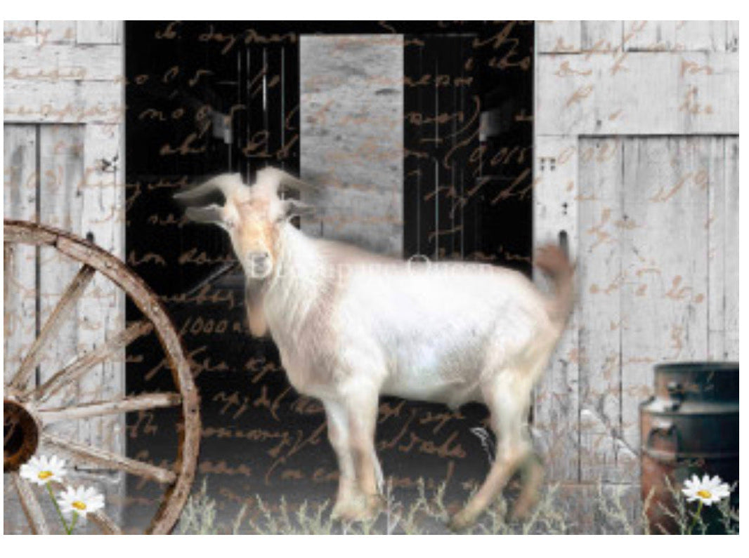 Flipping Furniture Billy, rice paper design by Decoupage Queen, office supplies > general office supplies > paper products, for decoupage and crafting