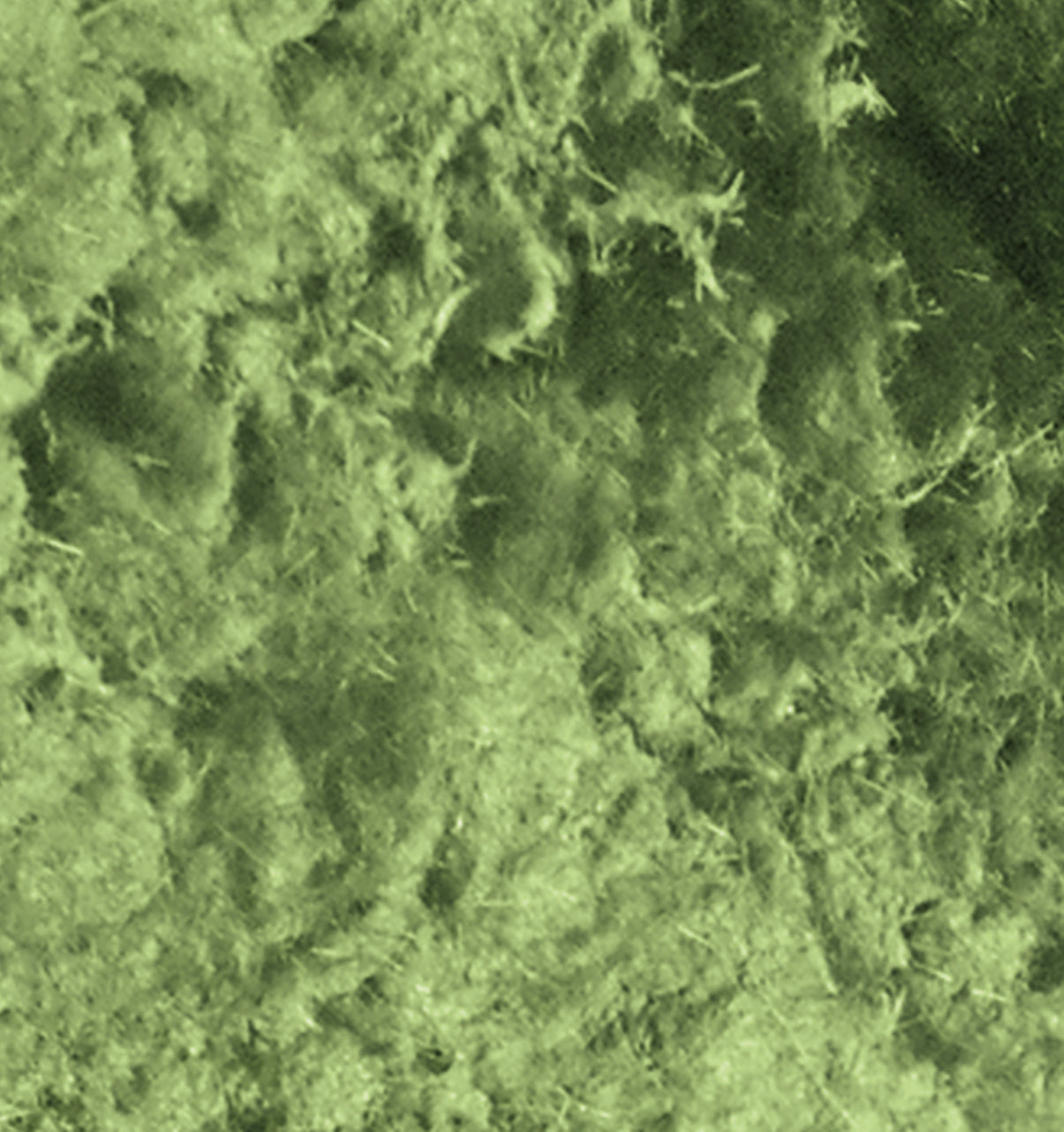 Moss /Grass Effect Paste, design by Pentart, nan, for decoupage and crafting