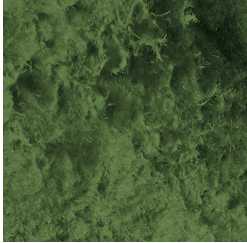 Moss /Grass Effect Paste, design by Pentart, nan, for decoupage and crafting