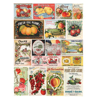 Vintage Seed, Large Transfers, Vintage Seed Label Transfer, Decor Transfers®